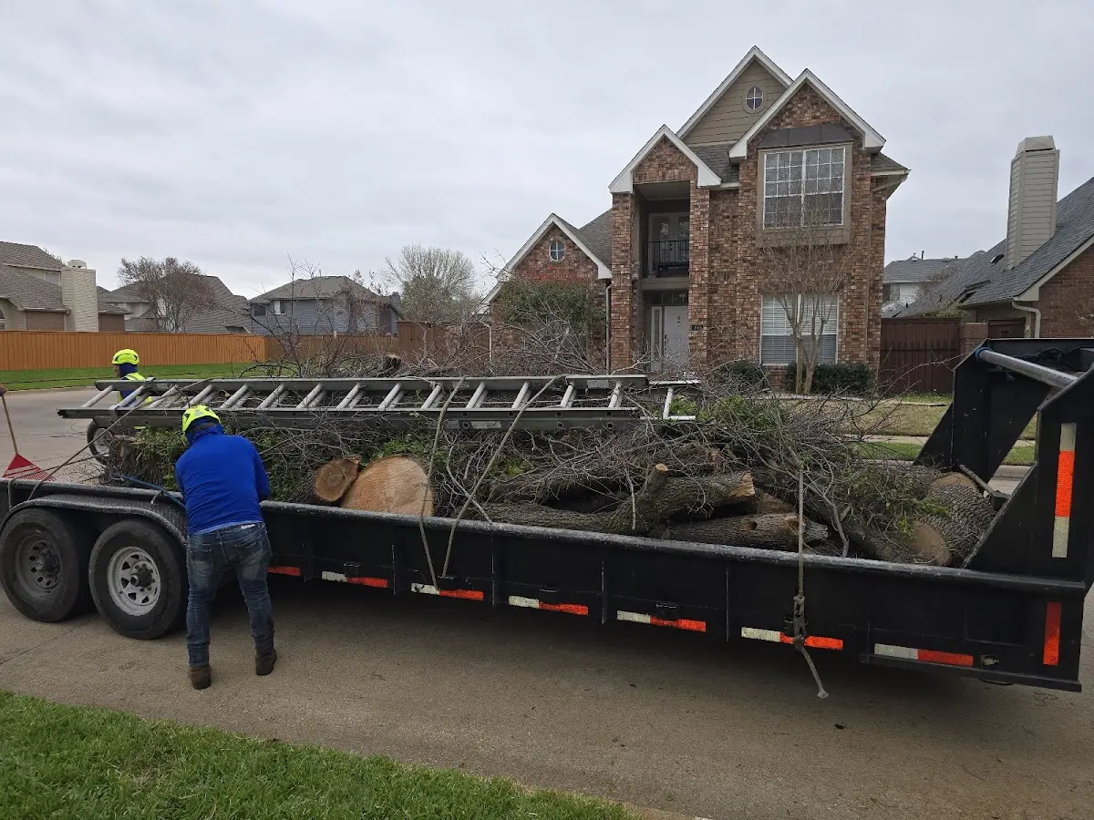 Expert Tree Fertilization with proper safety equipment in Hartwick